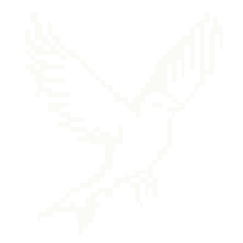OMEN